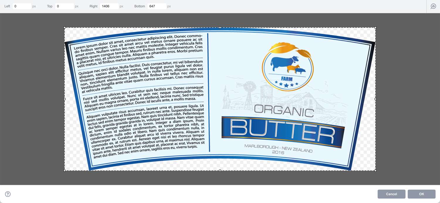 Conical label artwork show in the artwork editor in Boxshot