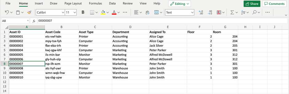 Data to use for asset tags in Excel