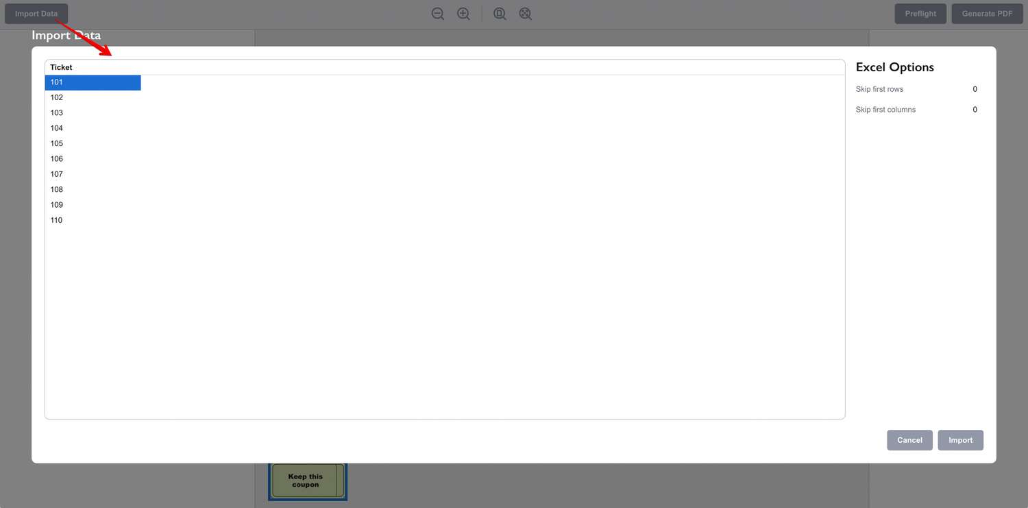 Raffle ticket data loaded to the importing panel